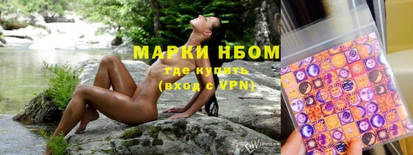 стафф Струнино